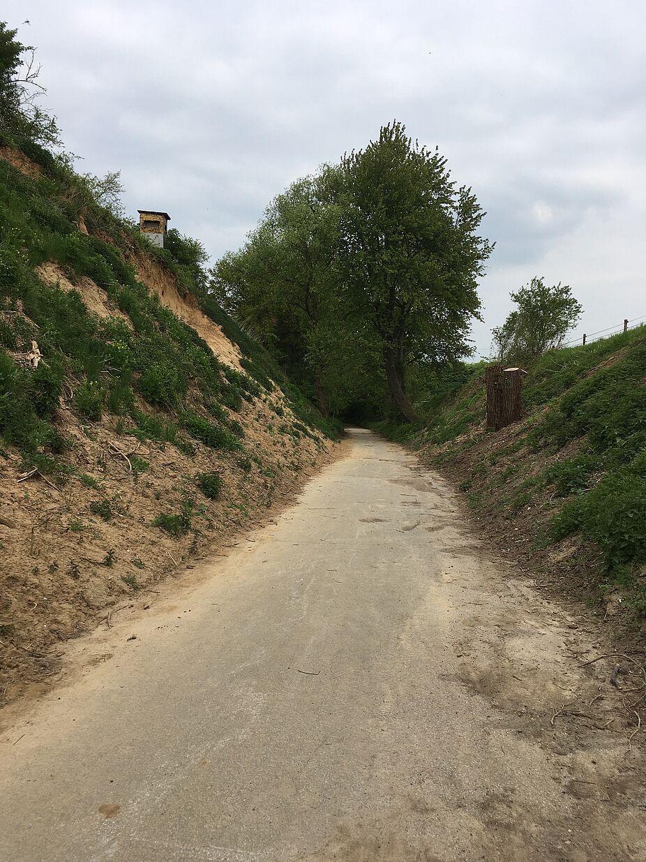 Naturdenkmal Lößhohlweg bei Butzheim