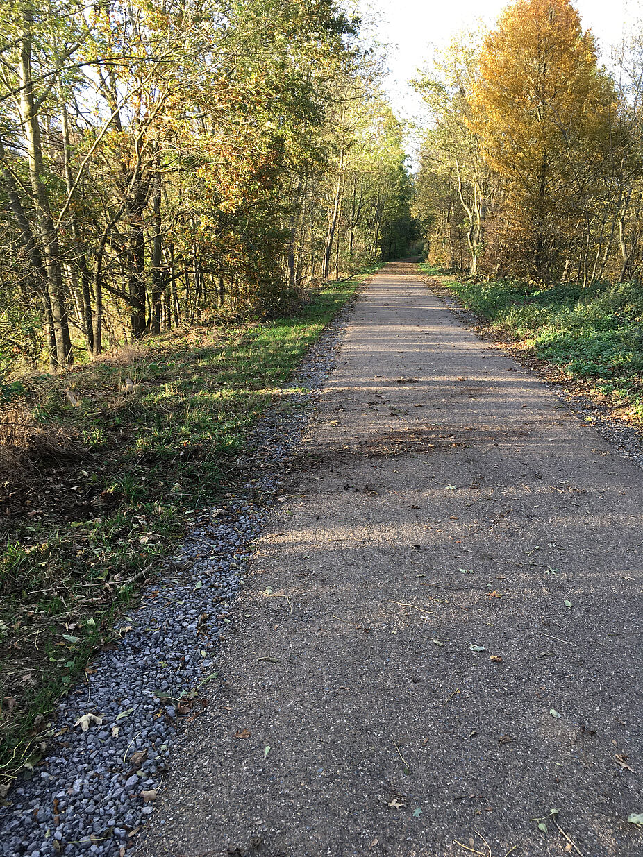 Wassergebundene Wegdecke