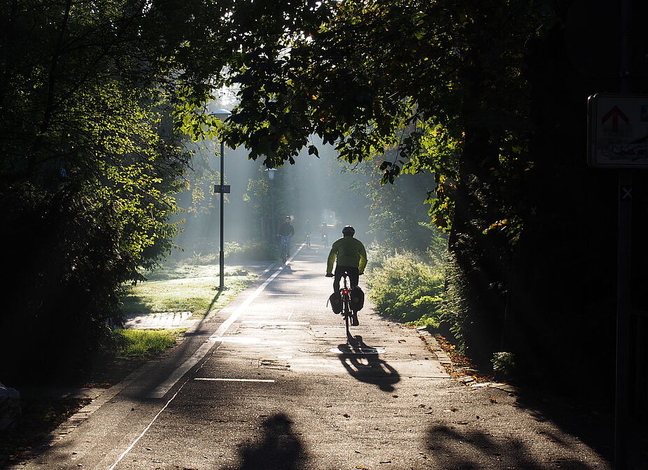 Fietsallee am Nordkanal, Neusser Stadtgarten Fietsallee am Nordkanal, Neusser Stadtgarten