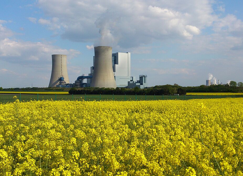 Rapsfelder und Braunkohlekraftwerke bei Neurath Rapsfelder und Braunkohlekraftwerke bei Neurath