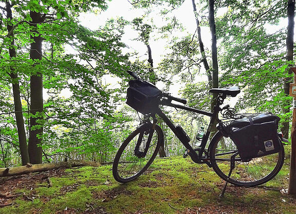 Naturerlebnis Fahrradfahren Naturerlebnis Fahrradfahren
