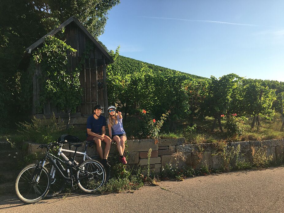 Württemberger Weinradweg Zwei Menschen rasten auf einer Bank für Weinreben